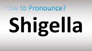 How to Pronounce Shigella [upl. by Tnecnev]