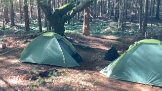 Wild Camping in Local Woodlands [upl. by Corabel242]