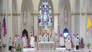 Festive Alleluia  Episcopate Ordination of Bishop Ruggieri [upl. by Amaso648]