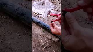 installing drip tape irrigation repair tape shorts tipsandtricks tools seeds lawn landscape [upl. by Anar]