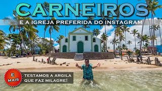 CONHEÇA A PRAIA DE CARNEIROS EM TAMANDARÉ O PARAÍSO DE PERNAMBUCO MAIS BONITO QUE PORTO DE GALINHAS [upl. by Bashemath545]