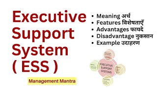 Executive Support System  ESS  MIS  Management Information System [upl. by Tnomyar]