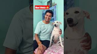 Ellie k Teeth kaise hai😂 youtubeshorts labrador doglover comedy dogteeth teethbrushing 100k [upl. by Leasi]