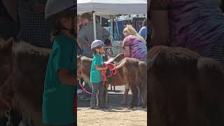 Rockin Rodeo Fruita Fall Festival 2024 horse horserescue gvhr [upl. by Damon]