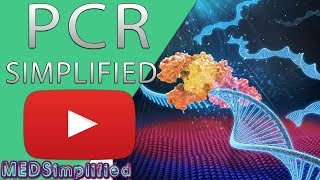 PCR  Polymerase Chain Reaction Simplified [upl. by Eli]