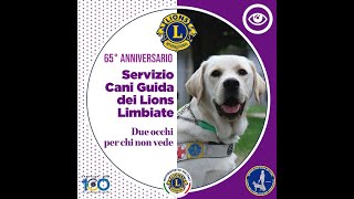 65° ANNIVERSARIO CANI GUIDA LIONS LIMBIATE [upl. by Eedoj]