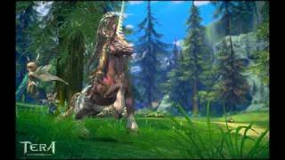 Tera Online OST  Fey Forest General Music [upl. by Musa]