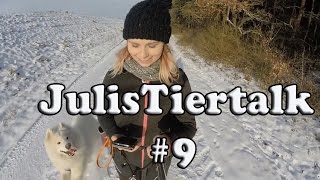 JulisTiertalk 9 Nero im Schnee  Begleithundeprüfung  Hund entwurmen  Zweithundpläne [upl. by Nolak826]