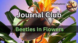 Aquatic Beetles Living In Flowers  Journal Club [upl. by Haldane]