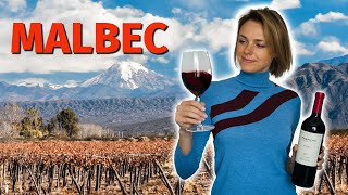 Wine Grapes 101 MALBEC [upl. by Mady944]