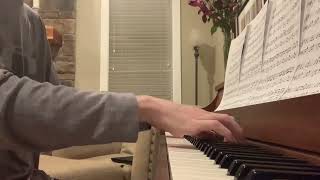 Mariners Apartment Complex  Lana Del Rey Piano Cover [upl. by Joshuah]