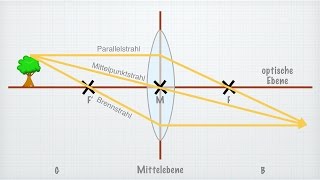 Linsen in der Optik [upl. by Anirpas]