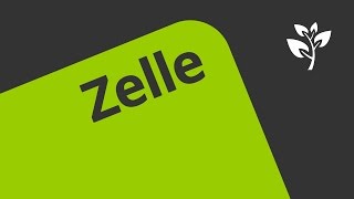 Zellen und Zellformen  Biologie  Cytologie [upl. by Thedric]