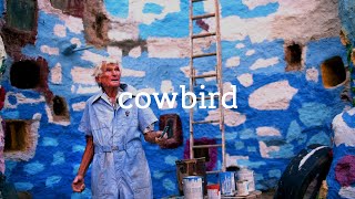 Cowbird  A Life Story 2014 [upl. by Nirual]