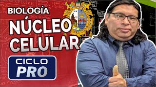 BIOLOGÍA  Núcleo celular CICLO PRO [upl. by Poock158]