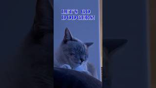 My Cat Is a Dodger Fan [upl. by Willis]