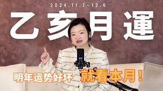 11月运势｜乙亥月运（1171260）阴气十足的水驿马月 2025年度剧情大预演 [upl. by Atlanta]