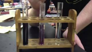 Ferric Chloride Test [upl. by Aikas]