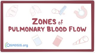 Zones of pulmonary blood flow [upl. by Naujej]