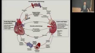 Cardiorenal syndrome in advanced heart failure [upl. by Ycniuqal]