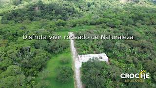 Los Cafetales Xico Veracruz Naturaleza VivirBien InmobiliariaCroche [upl. by Corvin]