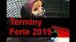 Ferie zimowe w 2019 terminy daty gdzie jechać ferie 2019 [upl. by Anor]