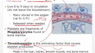 Chapter 12 Video Disorders of Hemostasis [upl. by Inanaup]