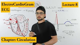 ECG Electrocardiogram fully explained  Chapter circulation  Video 8 [upl. by Annabelle]