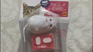 Robotic Mouse Cat Toy Unboxing [upl. by Eslud]