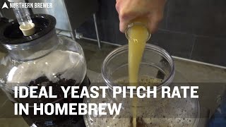 Ideal Yeast Pitch Rate for Homebrew [upl. by Sik399]