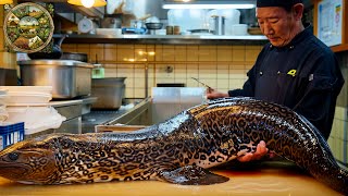 Explore Japanese cuisine How the chefs prepare Giant Moray Eel into delicious dishes Emison Newman [upl. by Grishilda483]