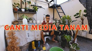 85 MARI KITA CEK TANAMAN JAPAN VERSION 植物をチェックしましょう [upl. by Kitchen303]