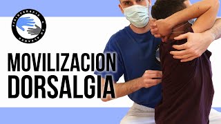 Prueba esta movilización para aliviar el dolor entre los omoplatos o dorsalgia [upl. by Mikey]