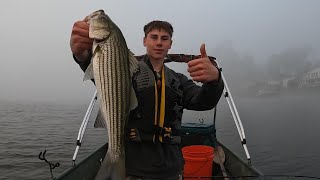 I Caught My First Ever Striped Bass Catch n Cook [upl. by Sileray652]