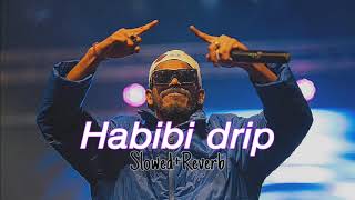 Habibi Drip  Ribin richard  Dabzee slowed  reverb [upl. by Belva604]