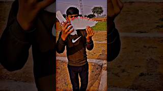 🕊️💞 attitude 😈😈🔥😈 shorts short shorts youtudeshorts pigeon viral [upl. by Kaden]