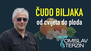 Tomislav Terzin  ČUDO BILJAKA  od cvijeta do ploda [upl. by Ameehsat]