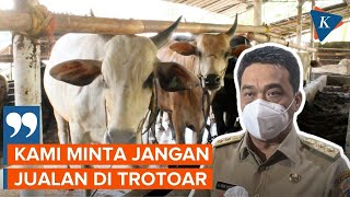 Jelang Idul Adha Wagub DKI Larang Jual Hewan Kurban di Trotoar [upl. by Rothstein540]