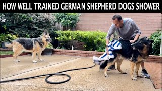 Trained German Shepherd Dogs Take A Shower  This Indian [upl. by Annaehr174]