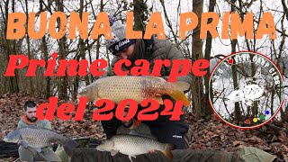 CarpFishing Prime carpe dellanno in cava buona la prima [upl. by Dabney]