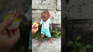 The baby monkey does not like this toymonkey animals trending babymonkey shorts [upl. by Worra]