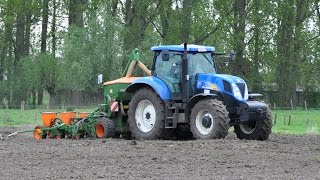 Loonwerken NeytVan Laere  New Holland T6070 amp Amazone ED 602K  mais zaaien [upl. by Dorren185]