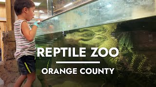 Indoor Reptile Zoo  Snakes Alligators amp Crocodiles with Kids  Orange County [upl. by Abrahan]