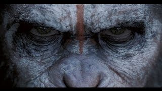 NON SPOILER REVIEW Dawn of the Planet of the Apes 2014 [upl. by Ahseen884]