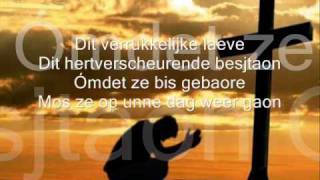 JURK  Verrukkelijke leven Lyrics [upl. by Fania]