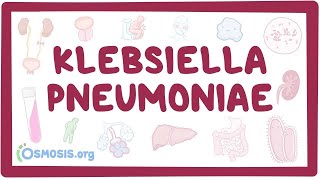 Klebsiella pneumoniae  an Osmosis Preview [upl. by Mulcahy893]