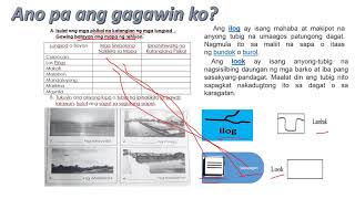 GRADE 3 ARALING PANLIPUNAN MODULE 4 WEEK 4 [upl. by Yorled91]