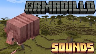 Minecraft 121  1205 Armadillo Sounds [upl. by Killion577]