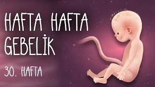 Hafta Hafta Gebelik 30 hafta [upl. by Nnail]