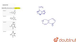 Identify structure of Adenine [upl. by Cheyne287]